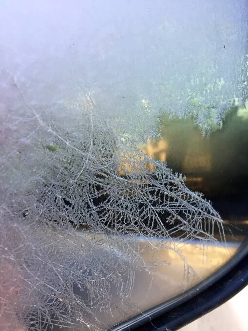 This spiderweb was bejewelled in ice when the temperatures dropped below 0 degrees on Wednesday mroning.