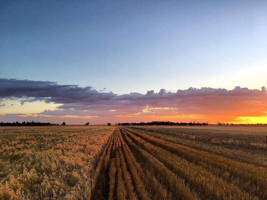 The Liverpool Plains is known for its vibrant sunsets. Photo: Sarah Sulman