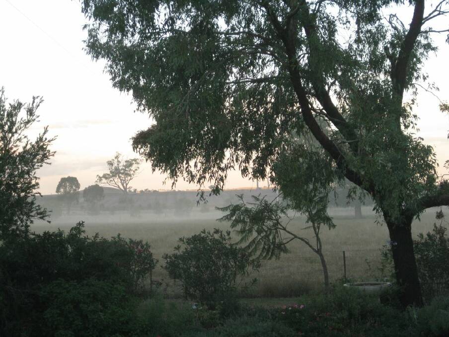 Dust hangs in the air from Kelvin Road. This photo was taken from Amanda White's yard.