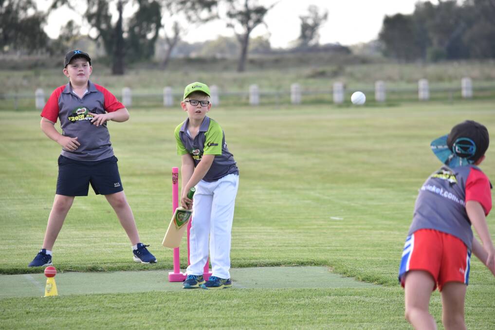 Milo In-2-Cricket and Milo T20 Blast kids use Donnelly Fields in November 2017. Photo: Ben Jaffrey