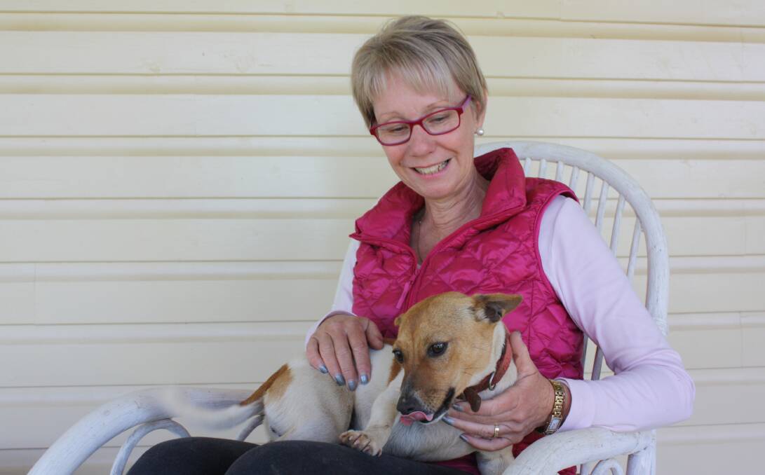 Cancer survivor Michelle King with her Jack Russell, Daisy.