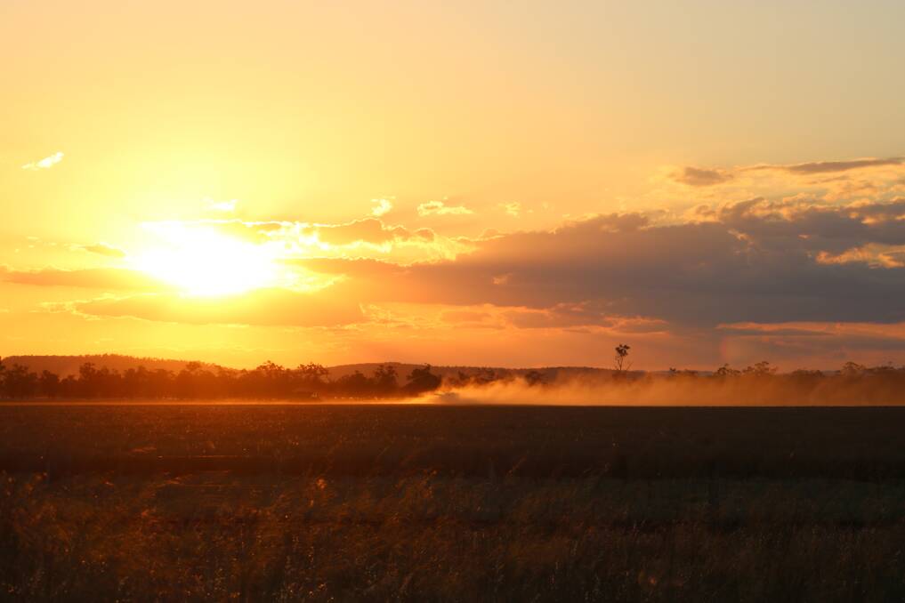 Harvesting on the Breeza Plains at sundown. Photo: Vanessa Höhnke