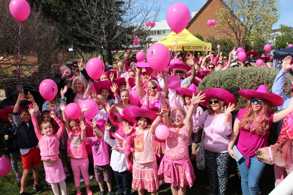 ALL IN: Mudgee was the first town in the state to embrace the McGrath Foundation's Pink Up Your Town campaign in 2016. Photo: supplied