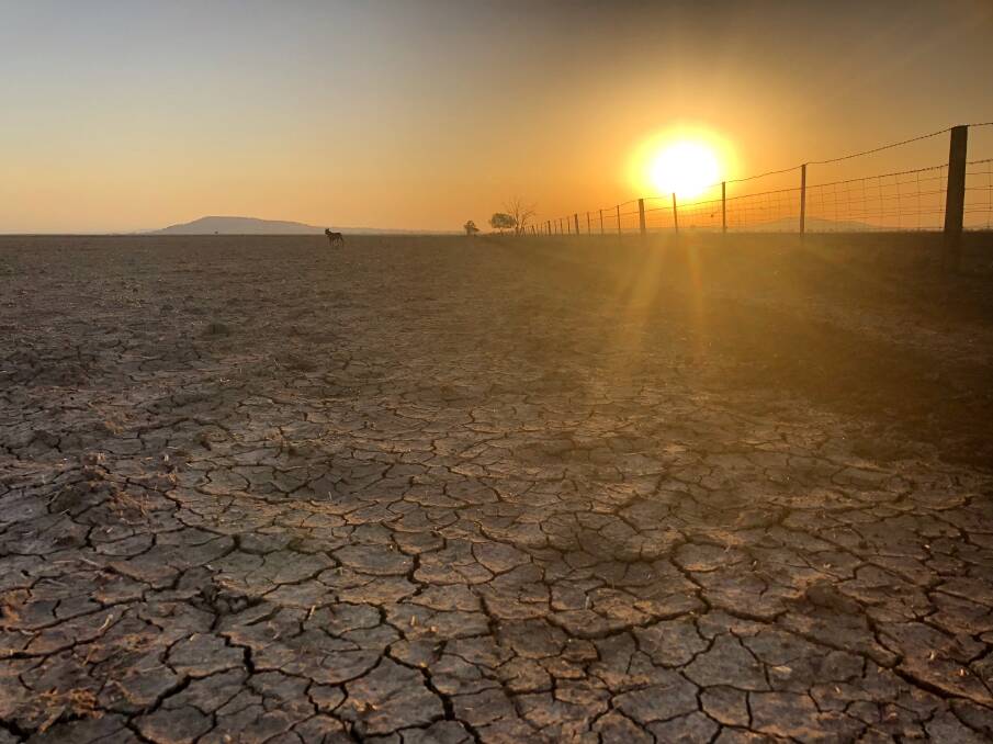A drought support officer will soon be on-hand to help those in need. Photo: Sarah Sulman