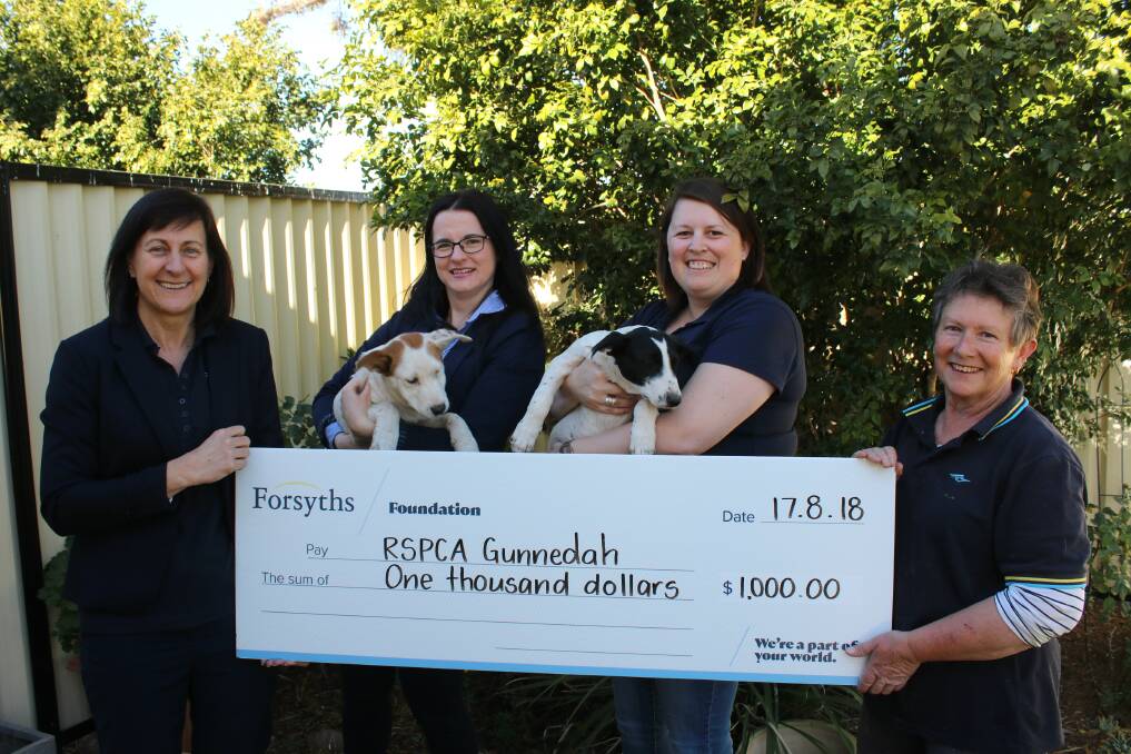 Forsyths principal Joanne Kelly, RSPCA volunteer Elissa Cupples, Forsyths Foundation committee member Megan Ellbourn and RSPCA volunteer Linda Taylor with two of the puppies currently in care.