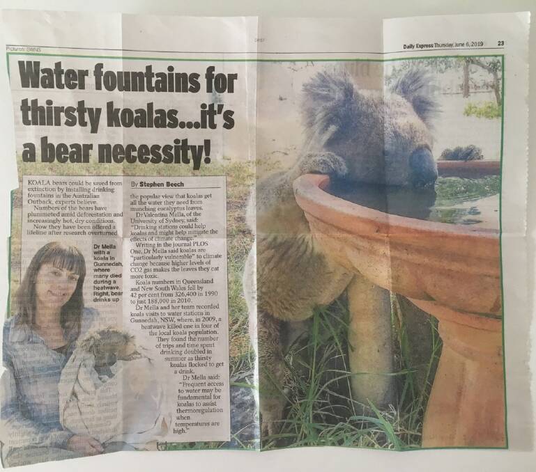 A photo of the article in The Daily Express.