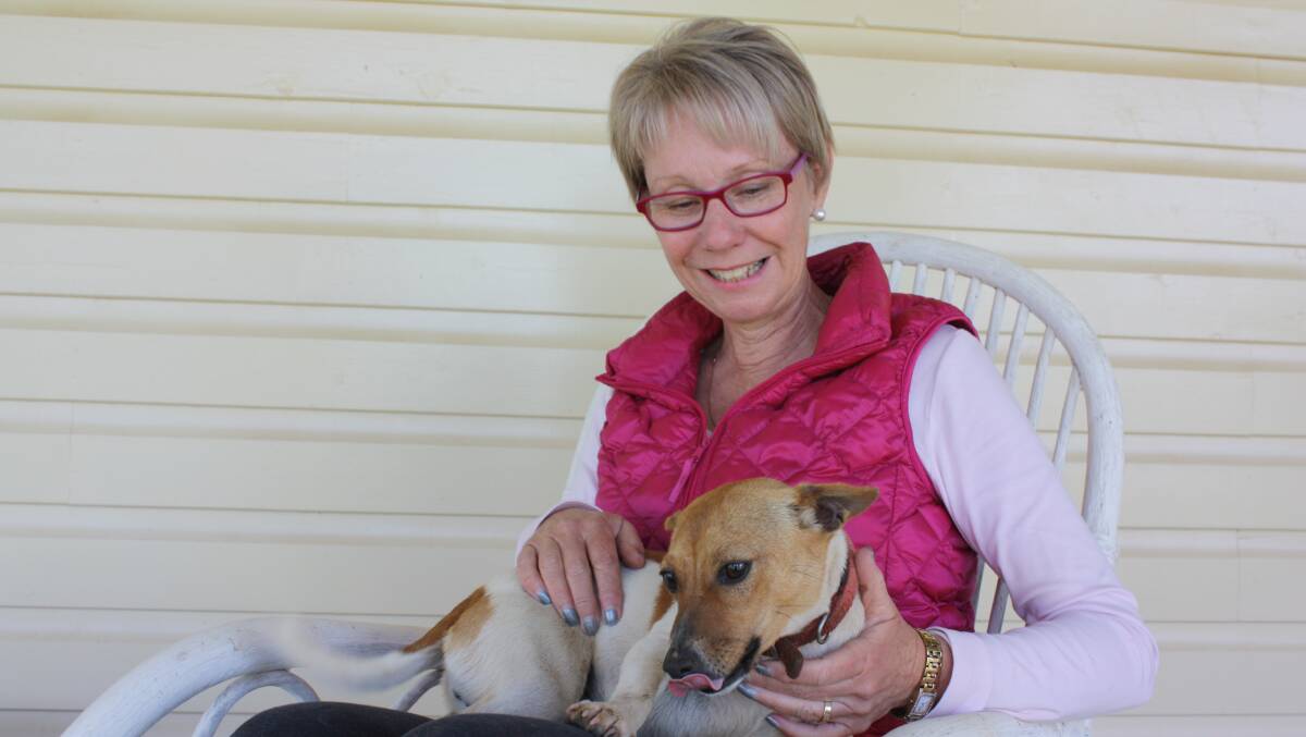 Cancer survivor Michelle King with her Jack Russell, Daisy. Michelle is hosting A Night Against Breast Cancer on Saturday to raise funds for the Breast Cancer Institute of Australia.