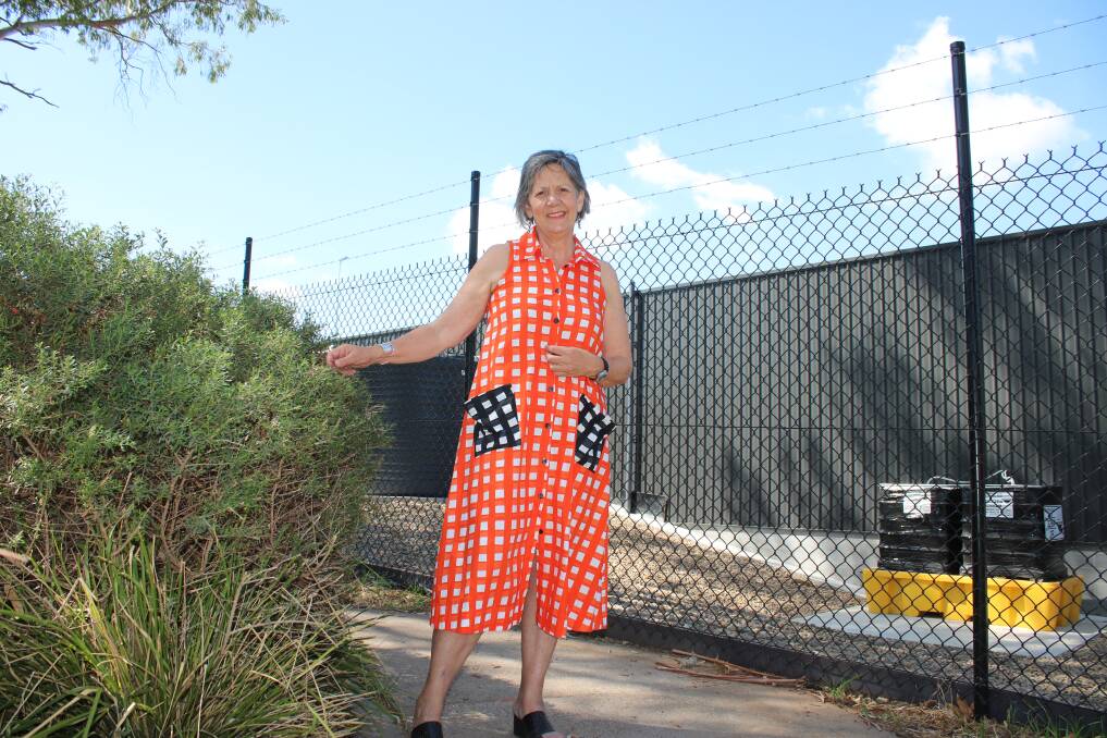 Dorothea Mackellar Memorial Society's Philippa Murray stands on the path winding around the monument to illustrate its proximity to the new pool fencing. 