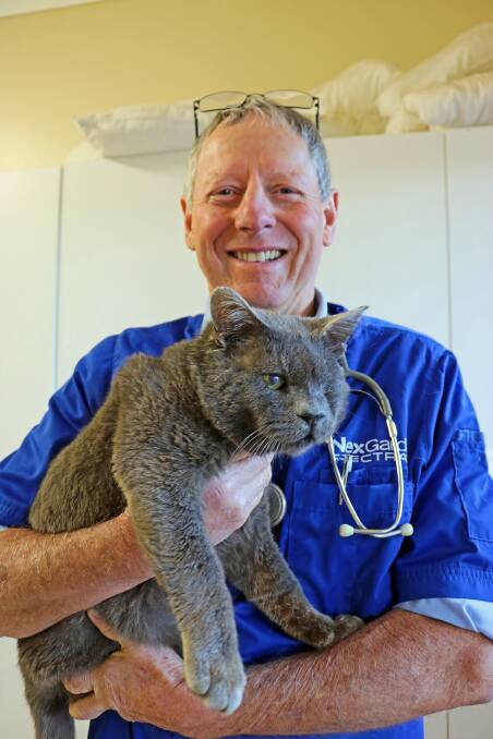 Gunnedah vet David Amos with the clinic cat Smash.