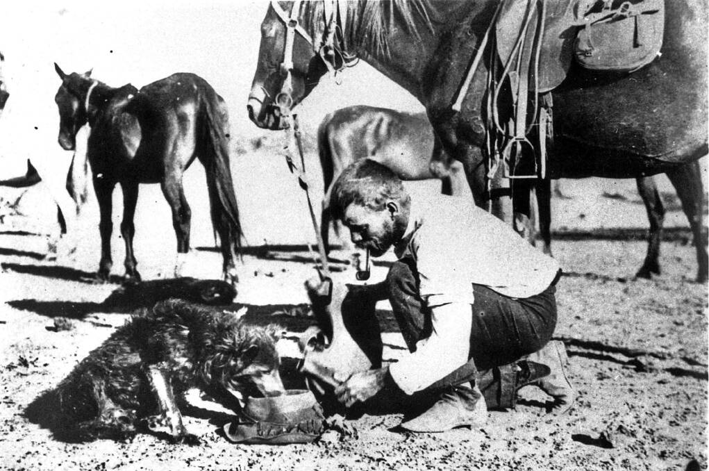 A photo of a drover giving his dog a drink out of his hat.