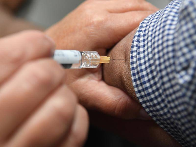 Council waives showground fees for drive-through flu vaccine clinic