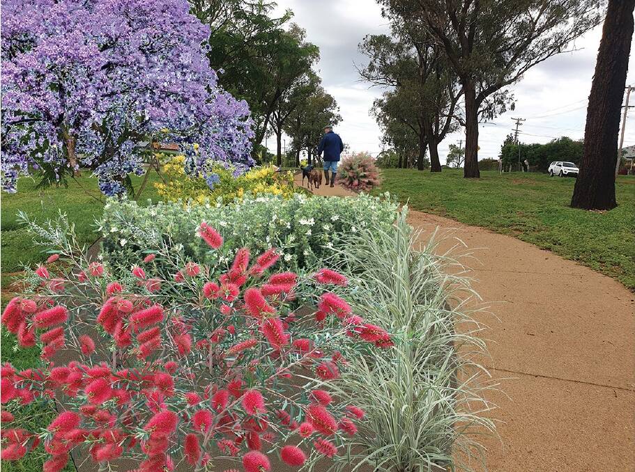 A photo montage of the concept Gunnedah Shire Council is working on for the Stock Road walking track. Photo: supplied