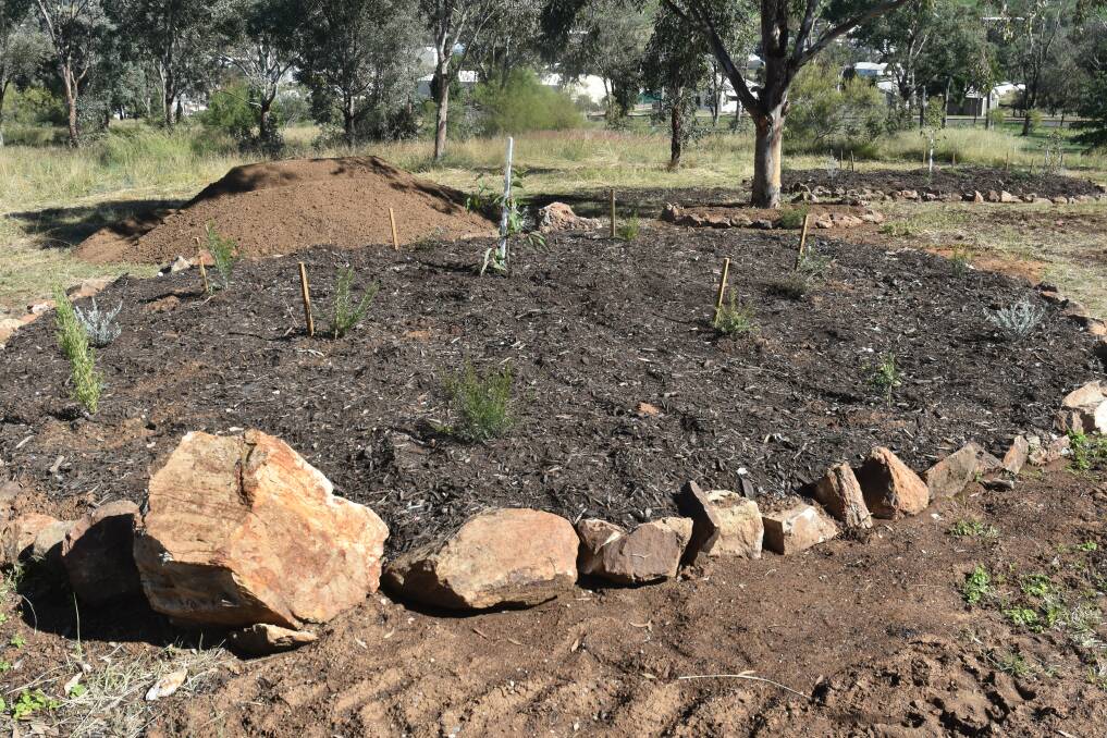 Numerous plants have been stolen from these new garden beds on Pensioners Hill. Photo: supplied