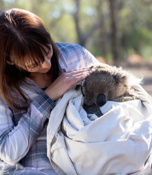 Dr Valentina Mella has been conducting koala research in Gunnedah since 2015. Photo: Louise M Cooper