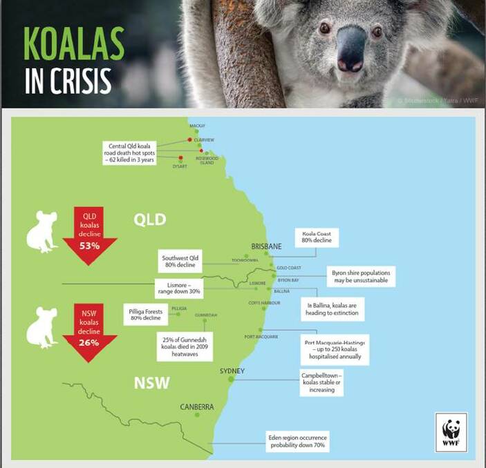 Image: WWF-Australia