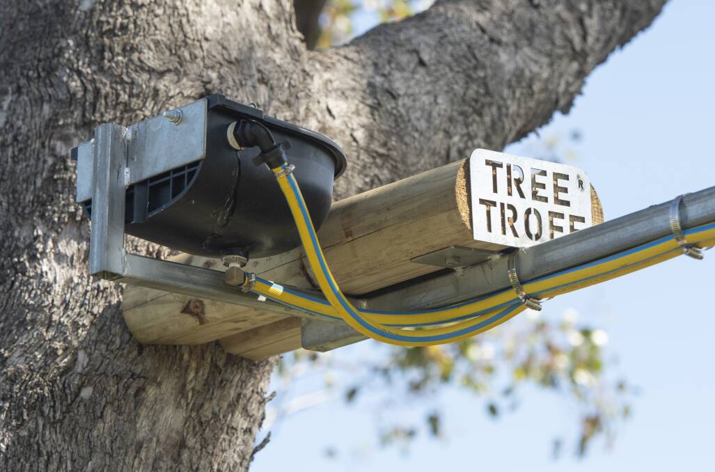 A Tree Troff installed in a tree on Robert Frend's property near Gunnedah. Photo: Peter Hardin