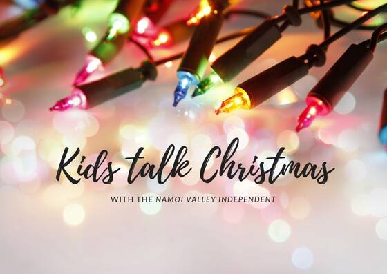 Video | Kids talk Christmas with NVI | Part 1