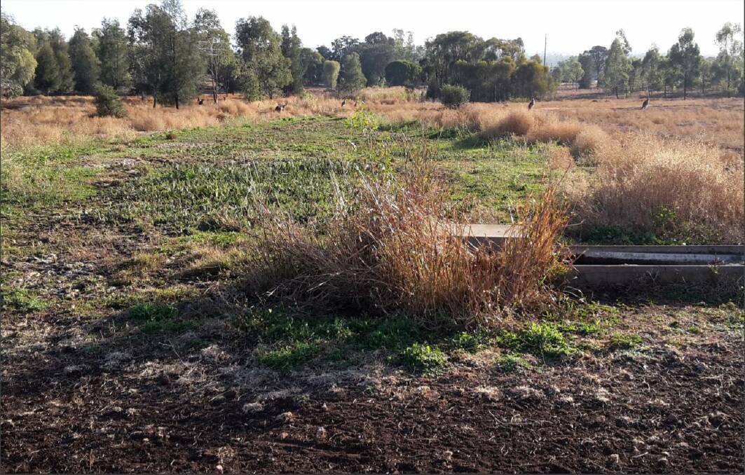 The trough in the Wallaby Trap had been leaking for some time before the problem was detected. Image: February 20 Gunnedah Shire Council meeting agenda.