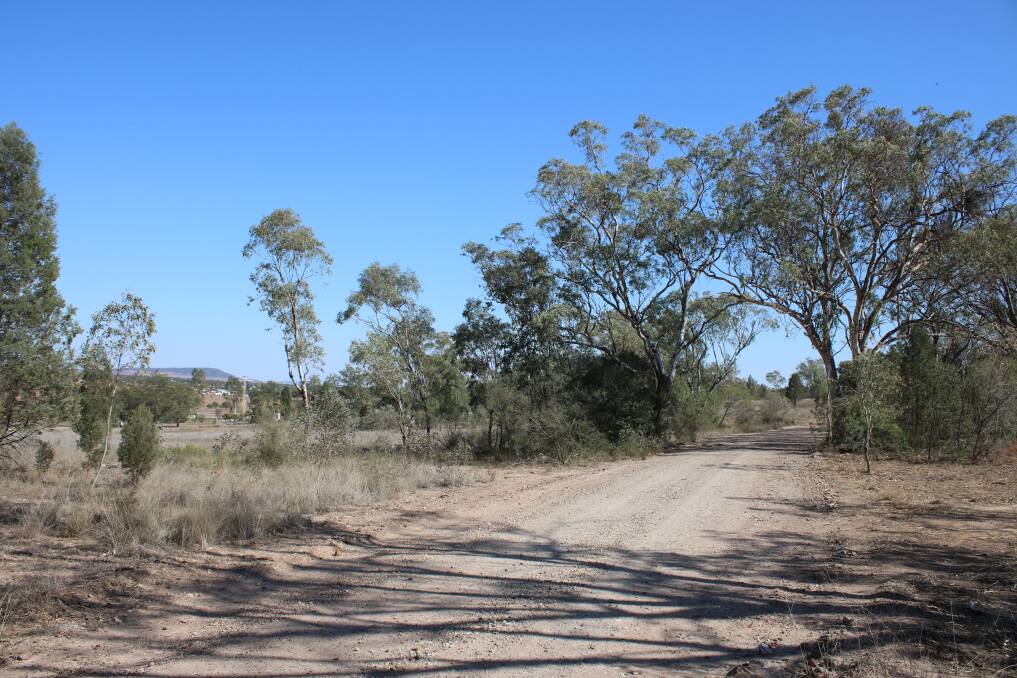 COMING SOON: The road leading into the 5-acre woodland on the Oxley Highway where Gunnedah Shire Council will build a koala park.