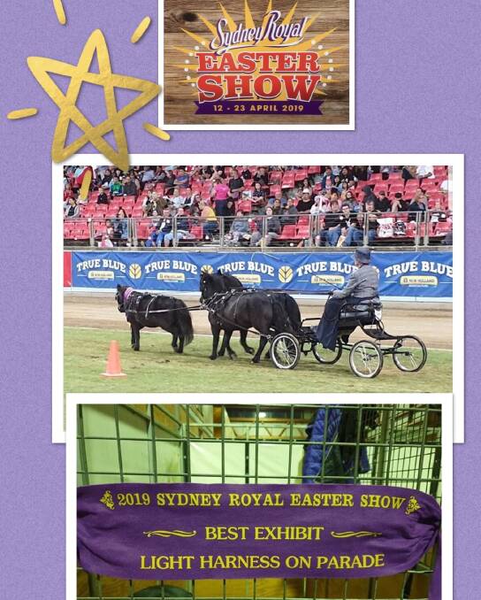 No horsing around for MooGully Ponies at Royal Easter Show