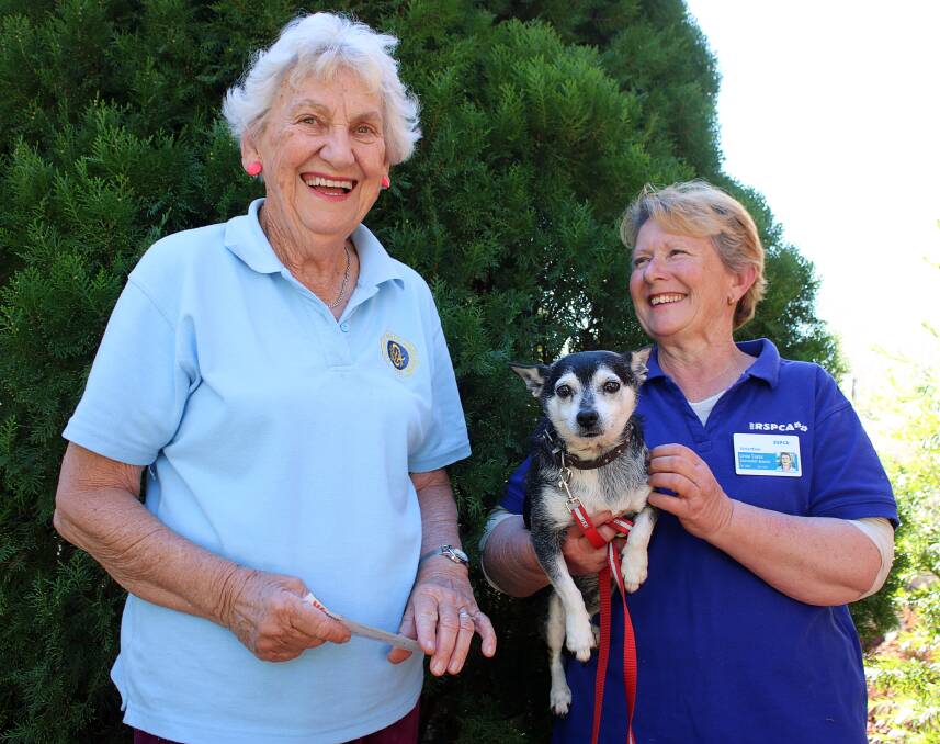 Gunnedah CWA president Coralie Howe with Gunnedah RSPCA's Linda Taylor and her dog.
