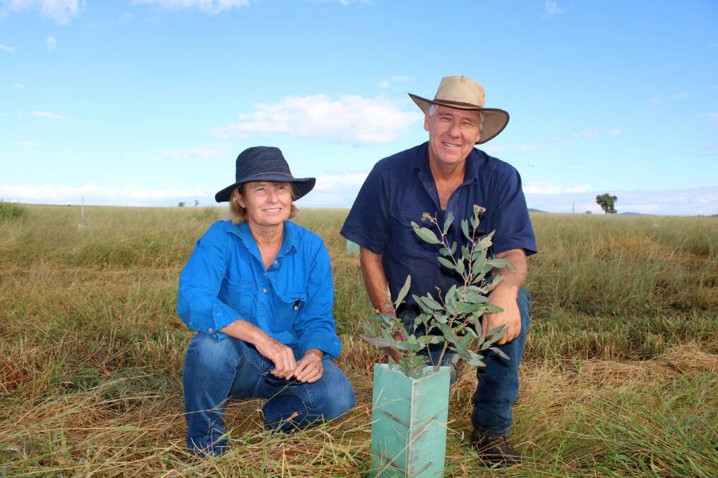 BIG PICTURE PLANNING: Helen and Kevin Fulwood are establishing tree corridors on their property at Curlewis to help native wildlife. Photo: Vanessa Hohnke
