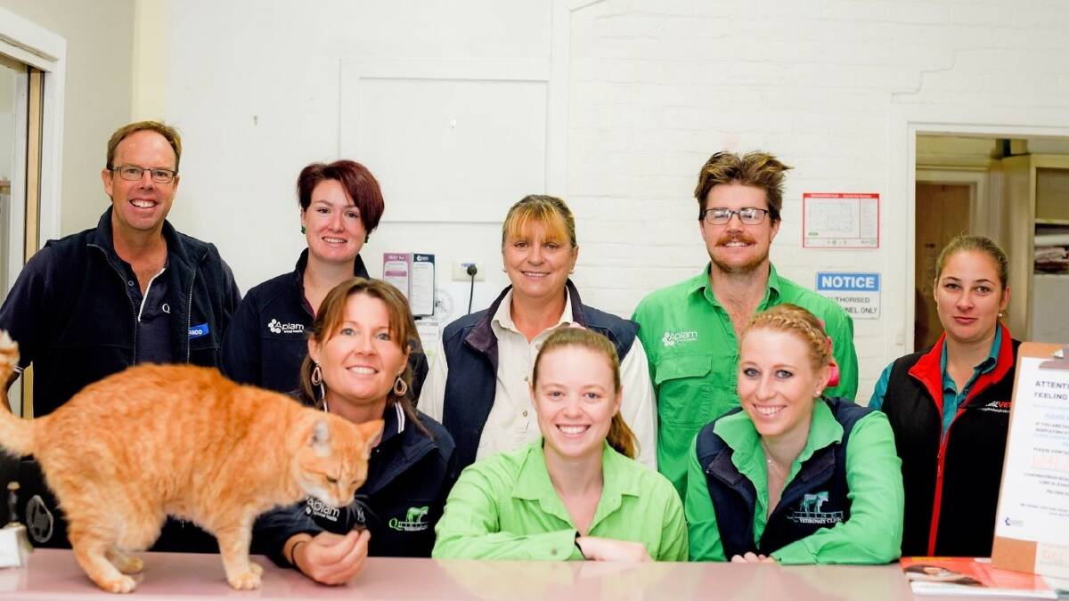 RESPONSIBLE: Quirindi Veterinary Clinic is thrilled with the popularity of the desexing program. Photo: Sally Alden