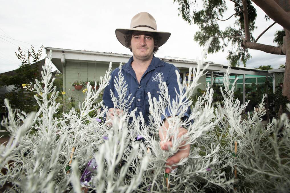 DON'T WORRY: Despite some fears drought-safe gardeners would lose their beloved plots to flooding, Tamworth Nursery's 'brain trust' horticulturalist Aiden McGregor said there's no need to fear, yet. Photo: Peter Hardin