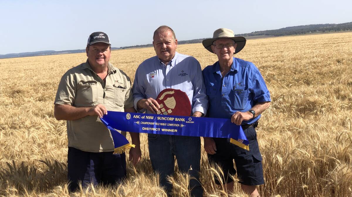 WINNERS: Yarrabah Pastoral Company's Geoff and Neil Barwick with North West Farm Machinery's Roger Moylan in the Barwick's winning 2019 crop. Photo: supplied, 2019
