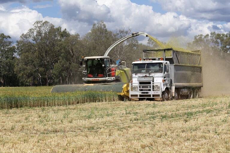 BACK IN VOGUE: A series of LLS webinars is set to help farmers make the most out of their silage options ahead of this year's harvest. Photo: Supplied 