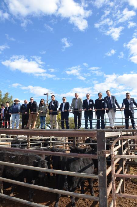 HUGE POTENTIAL: Gunnedah Shire Council has hosted a delegation of potential Chinese investors throughout the shire this week. Photo: Billy Jupp 