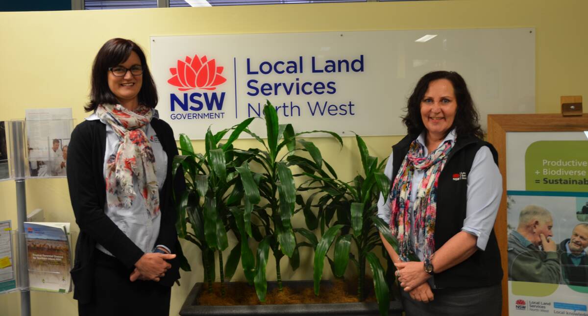 HELP ON HAND: Gunnedah Local Land Services customer service officers Lisa Naismith and Margo Weekes are on hand to help land holders with any inquiries they have. Photo: Billy Jupp  