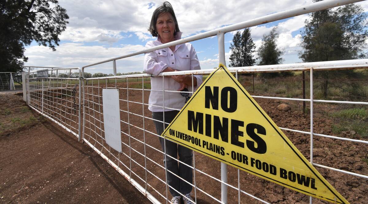 Caroona Coal Action Group chairwoman Susan Lyle is hopeful a buyback scheme for land held for the Shenhua Watermark Coal project will soon be implemented. Photo: Billy Jupp 