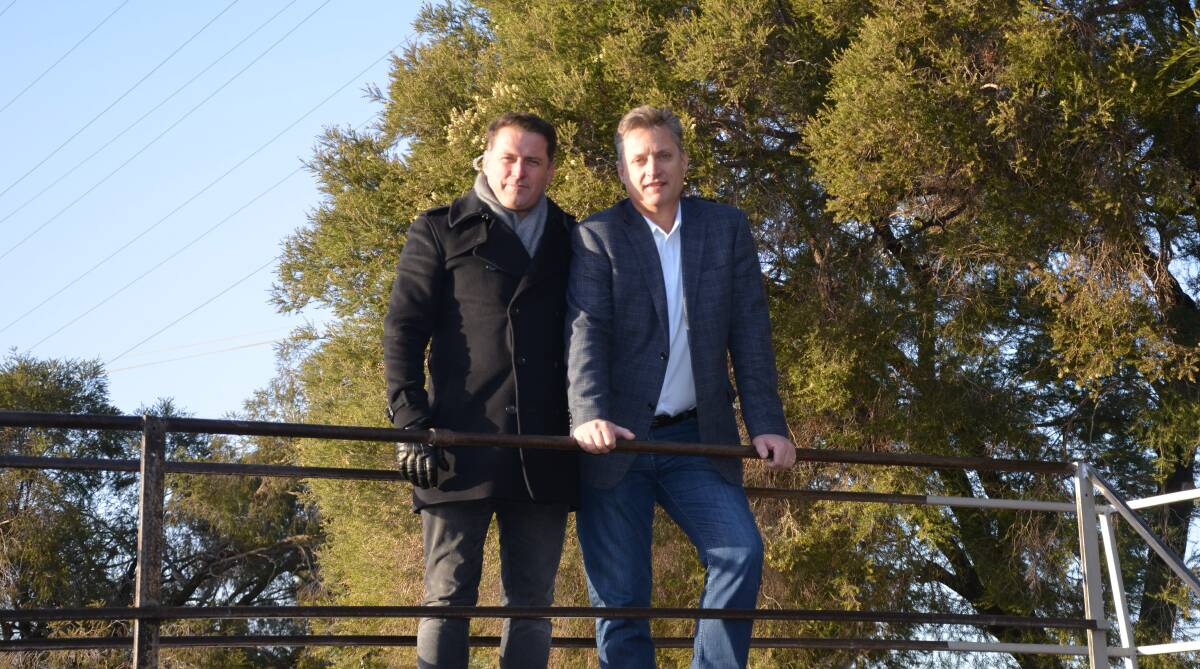 HELPING OUT: Today Show host Karl Stefanovic joins Gunnedah mayor Jamie Chaffey at the Gunnedah Saleyards on Tuesday morning. Photo: Billy Jupp 