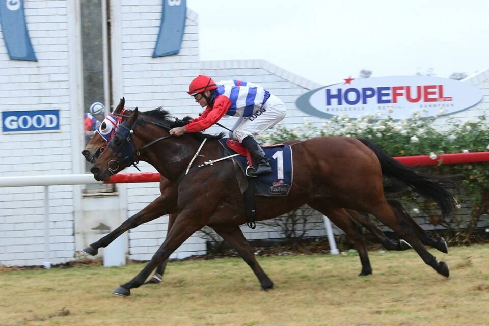 CUP WIN: Royal Tudor sneaks home to take out the Curlewis Cup. Photo: Bradley Photos 