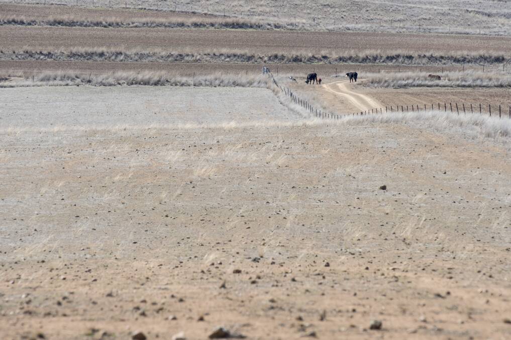 DRY TIMES: There is doubt over the upcoming summer dryland cropping season. Photo: Peter Hardin
