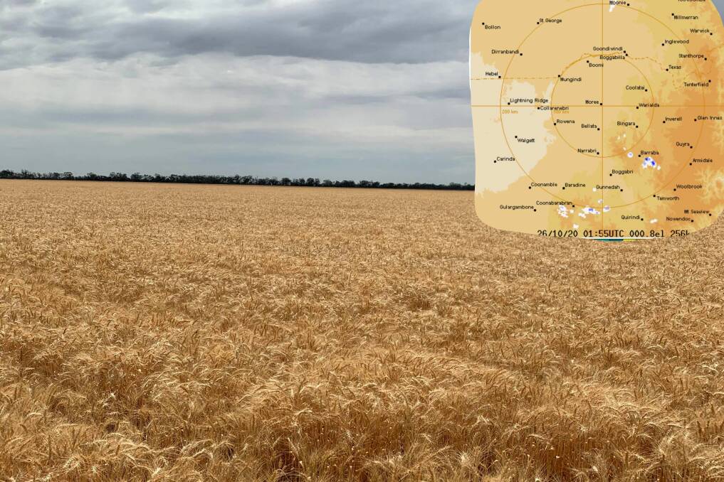 BACK ON TRACK: Farmers will once again be able to track rain systems across the region thanks to the BOM. Photo: Dimity Smith and BOM website