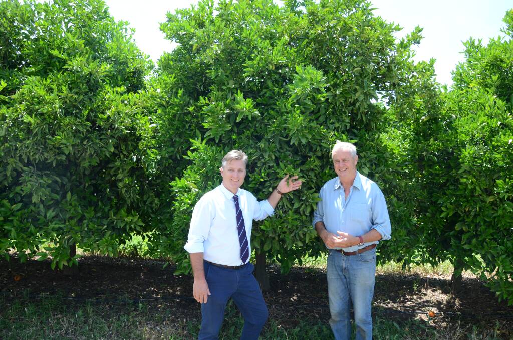 LOOKING TO THE FUTURE: Jamie Chaffey and Robert Hoddle will continue to explore investment opportunisties for citrus producers in the Gunnedah region. Photo: Billy Jupp