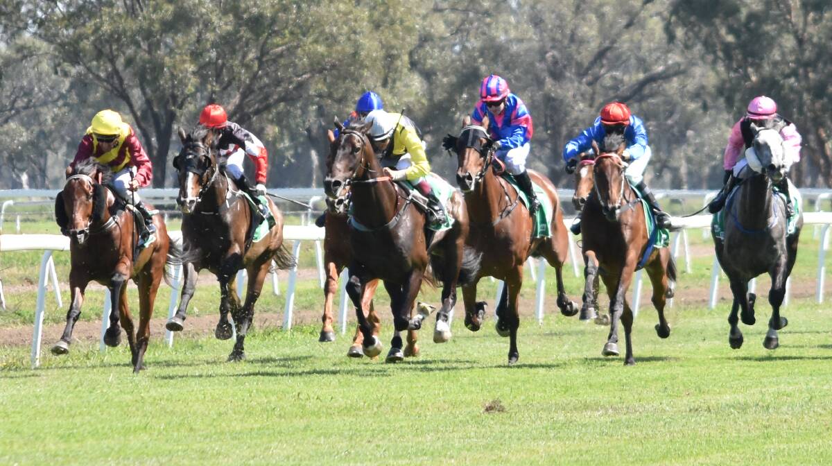 RELOCATION: The Gunnedah Jockey Club will host a race meeting on Cox Plate day after the meeting was relocated from Armidale. Photo: Billy Jupp 