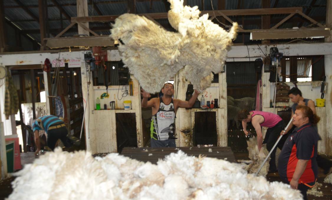 BUSY TIMES AHEAD: The AWPFC are prediciting a rise in Australian wool production in 2018. 