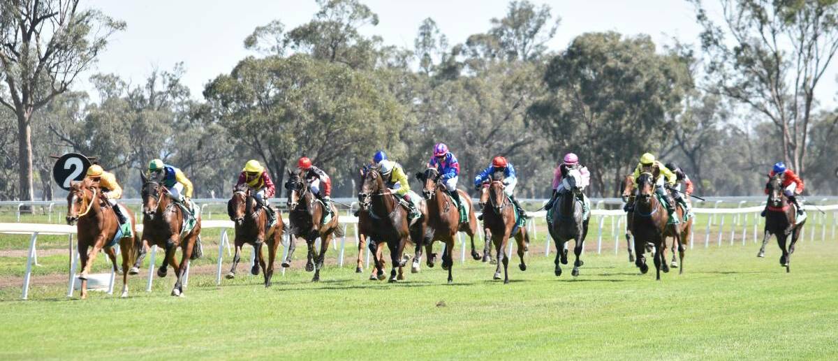 BIG EVENT: Dreamnomore charges on to win the 2017 Gunnedah Christmas hams race, this year's event has already attracted more than 180 nominations. Photo: Ben Jaffrey 
