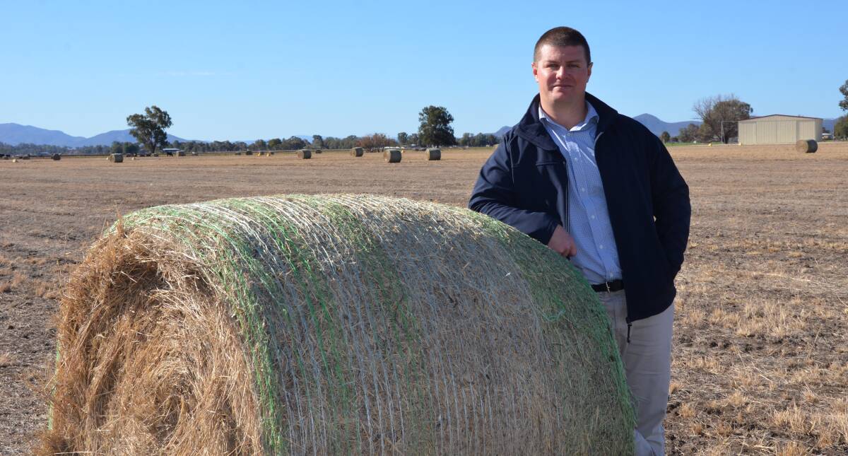 HELPING HAND: Gunnedah Shire Council's acting director of infrastructure services, Dan Noble with one of 285 bales of hay at Gunnedah Airport. Photo: Billy Jupp 