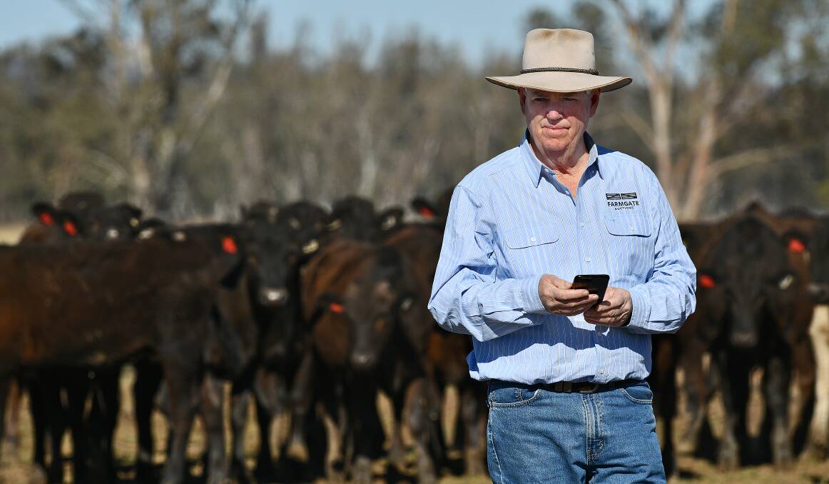 READY TO GO: Gunnedah stock agent Guy Gallen is preparing for FarmGate Auctions' first sale on October 8. Photo: Paul Mathews Photography 