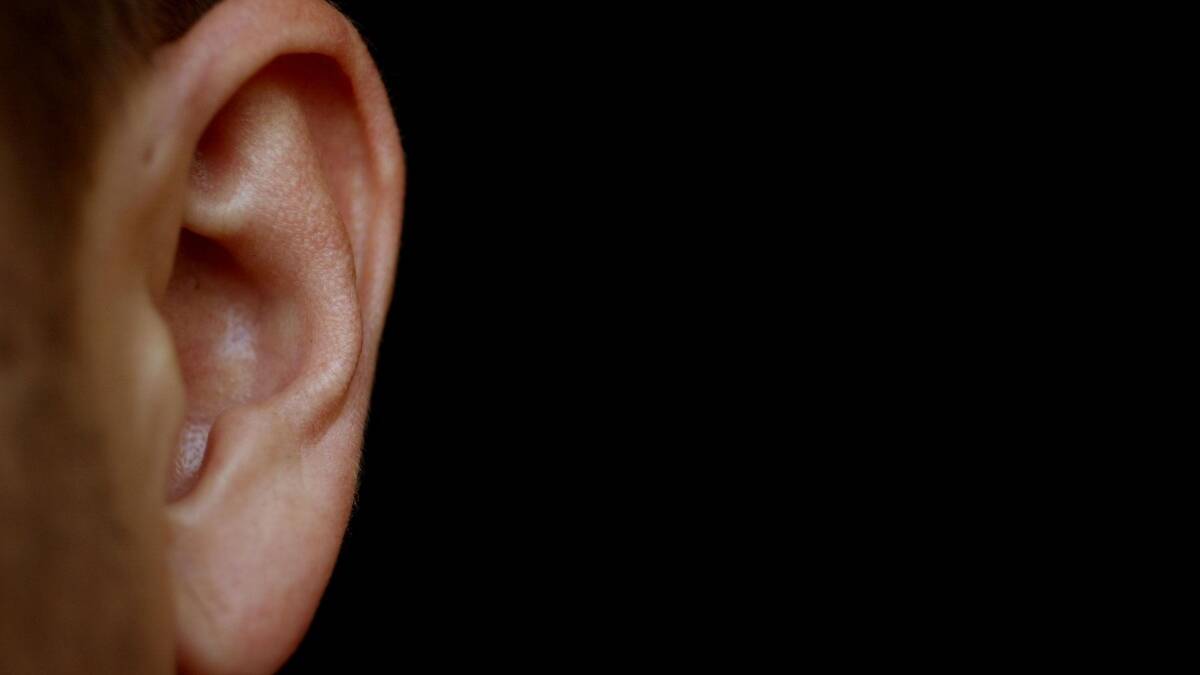 ALL EARS: Gunnedah Discount Pharmacy will be offering free hearing tests on October 25.  