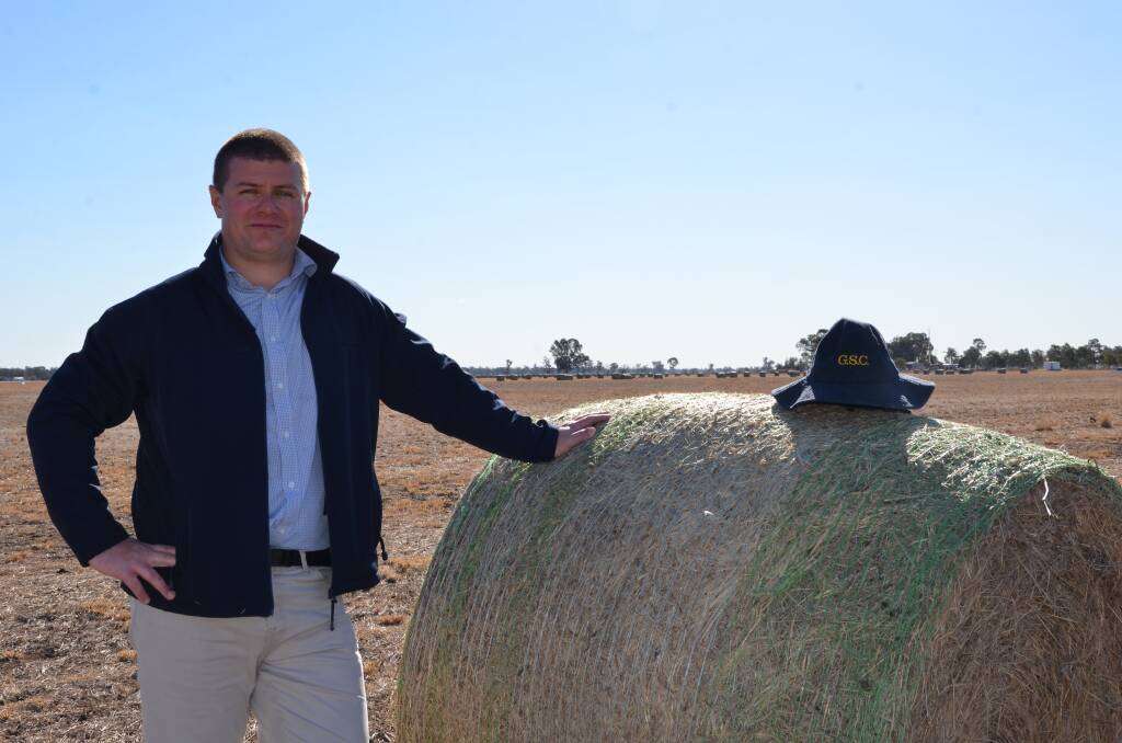 HELPING HAND: Gunnedah Shire Council has received $1 million of drought assistance funding from the federal government. The funds follow several initiatives lead by the council including the bailing of hay at Gunnedah Airport earlier this year. Photo: Billy Jupp  