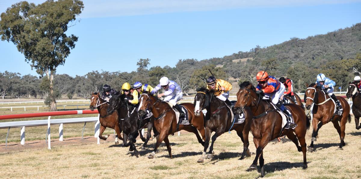 STACKED FIELD: The Quirindi Jockey Club is expecting a competitive field at Wednesday's race meeting, much like their March meeting (pictured). Photo: Ben Jaffrey 