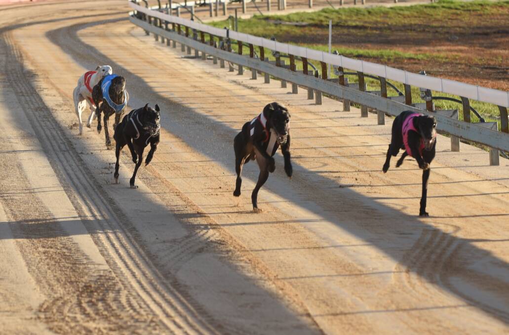 HEATING UP: A major announcement about Gunnedah's Million Dollar Chase event will be made on Friday. Photo: Billy Jupp 