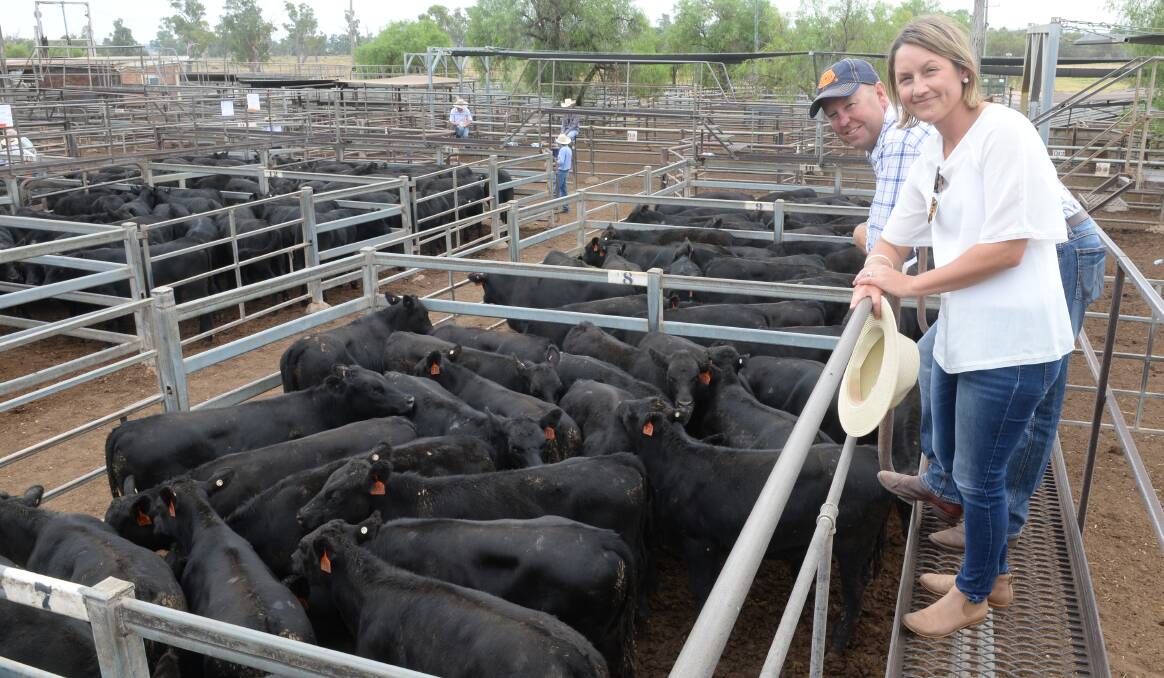 Scott and Bec Pickette, Ulamambri, Coonabarabran, sold 90 Angus steers Booroomooka and Dulverton blood, 264kg ave, fetched ave $2.67/kg returning ave $706.
