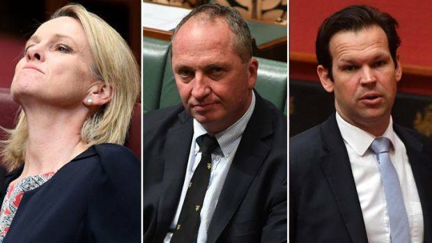 Fiona Nash, Barnaby Joyce and Matt Canavan all felt the wrath of the citizenship storm.