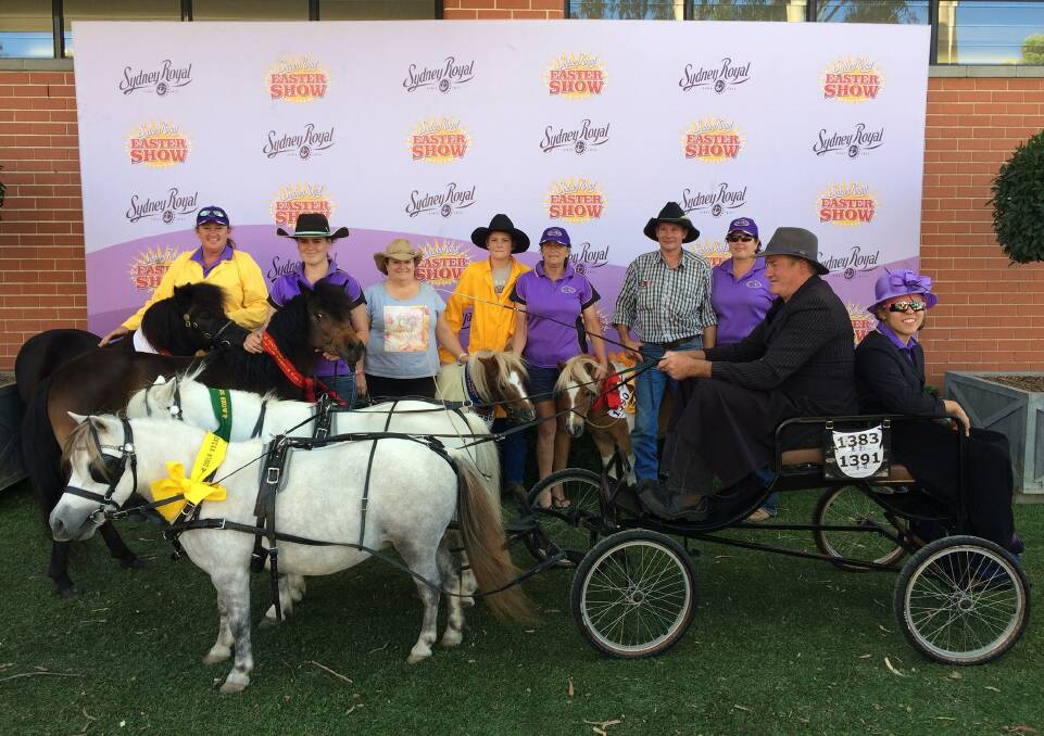 Kylie Scott, Jess Heath, Shelly Broodie, Ben Heath, Val Dewsbury, Mick Heath, Dot Dewsbury, Steve Lord, Christy Pond and the ponies - all part of the MooGully Ponies team's success at the Sydney Easter Show this year.